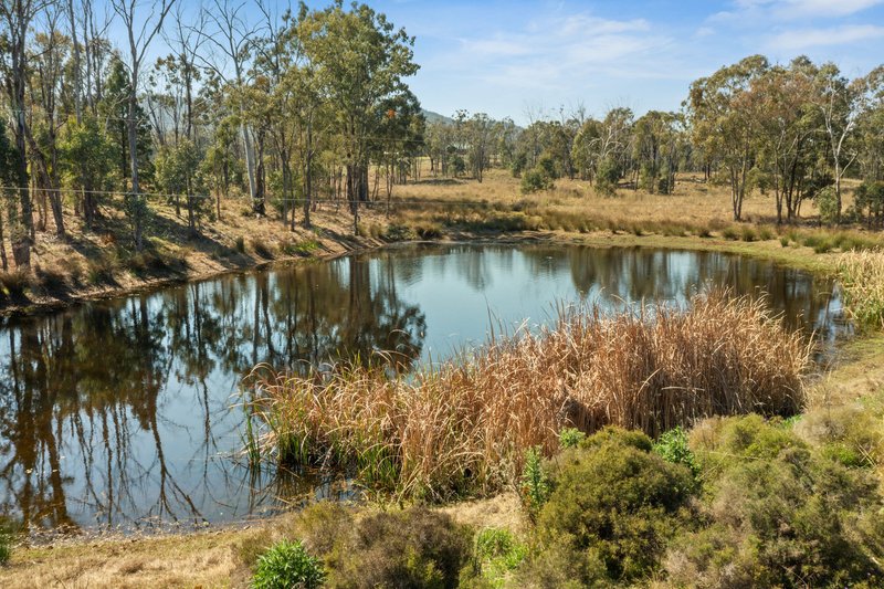 Photo - "Thane House" 102 Mount Gammie Road, Thanes Creek QLD 4370 - Image 30