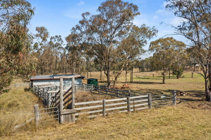 Photo - "Thane House" 102 Mount Gammie Road, Thanes Creek QLD 4370 - Image 31