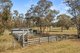 Photo - "Thane House" 102 Mount Gammie Road, Thanes Creek QLD 4370 - Image 31