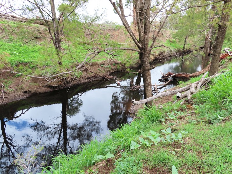 Photo - Thanes Creek QLD 4370 - Image 4