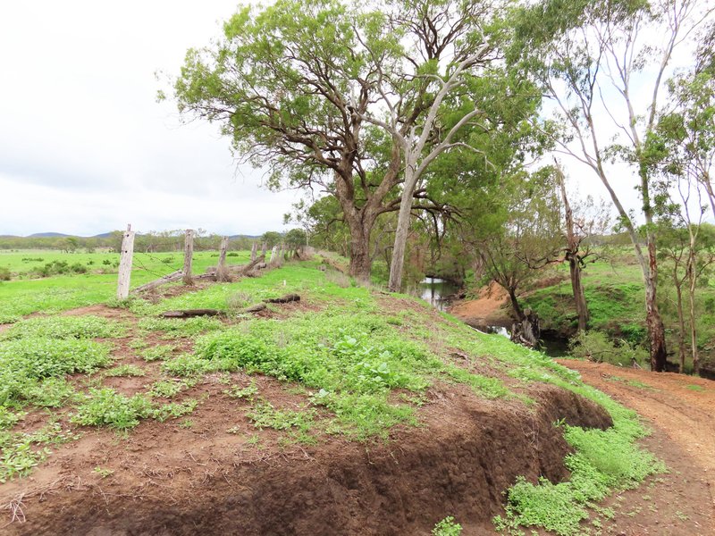 Photo - Thanes Creek QLD 4370 - Image 5