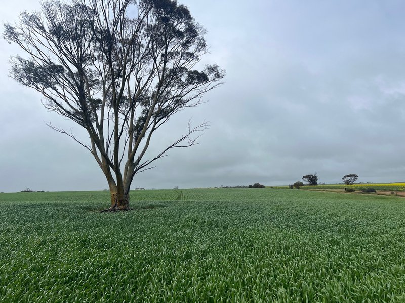 Photo - . 'The Dam Block' , Cunderdin WA 6407 - Image 8