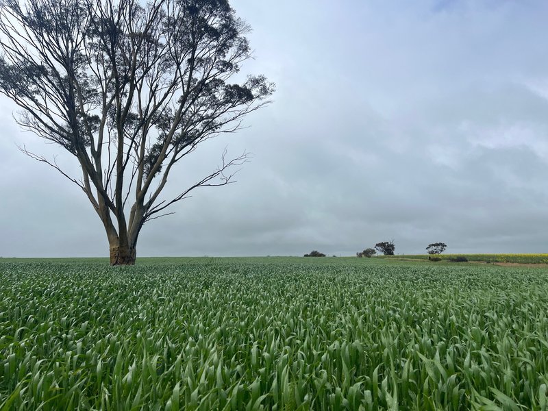 . 'The Dam Block' , Cunderdin WA 6407