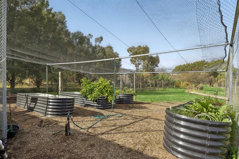 Photo - 'The Finches', 7 Galloway Place, Murrumbateman NSW 2582 - Image 26