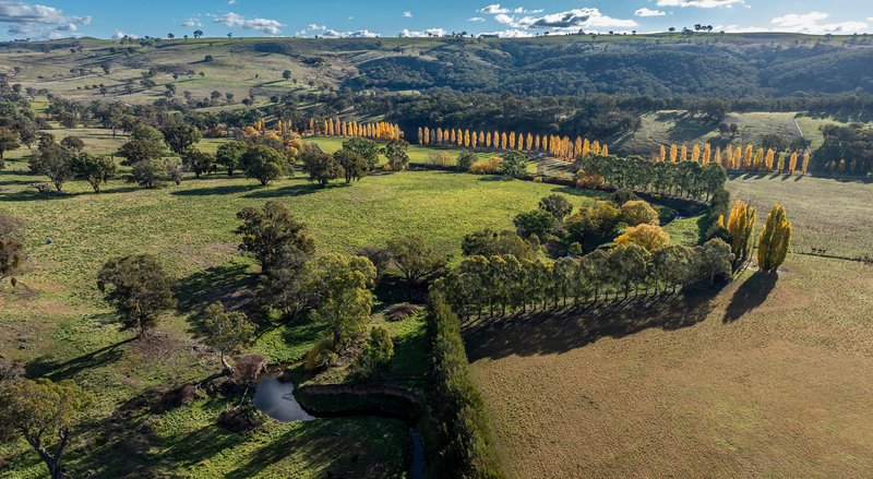 Photo - 'The Grove' 635 Grove Creek Road, Trunkey Creek NSW 2795 - Image 1