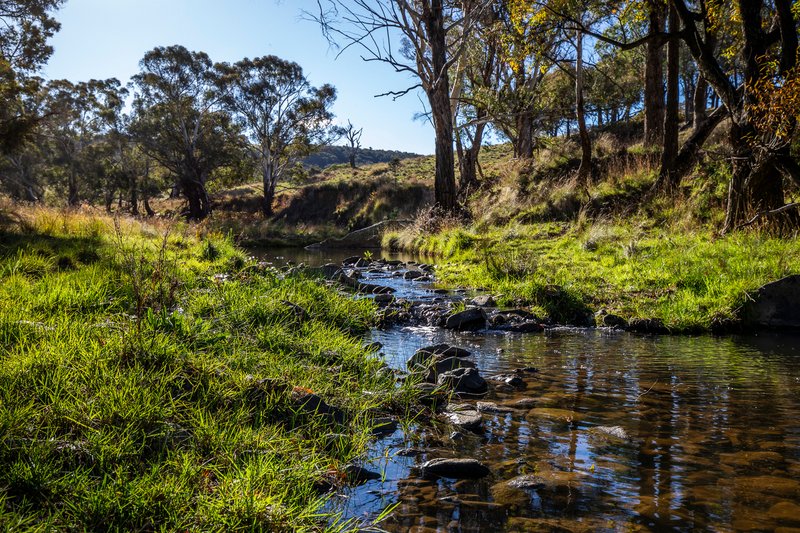 Photo - 'The Grove' 635 Grove Creek Road, Trunkey Creek NSW 2795 - Image 3