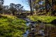 Photo - 'The Grove' 635 Grove Creek Road, Trunkey Creek NSW 2795 - Image 3