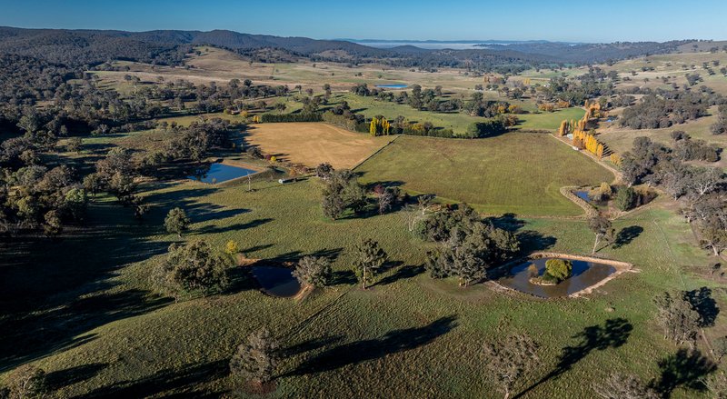 Photo - 'The Grove' 635 Grove Creek Road, Trunkey Creek NSW 2795 - Image 4