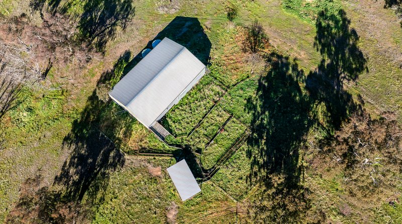 Photo - 'The Grove' 635 Grove Creek Road, Trunkey Creek NSW 2795 - Image 6