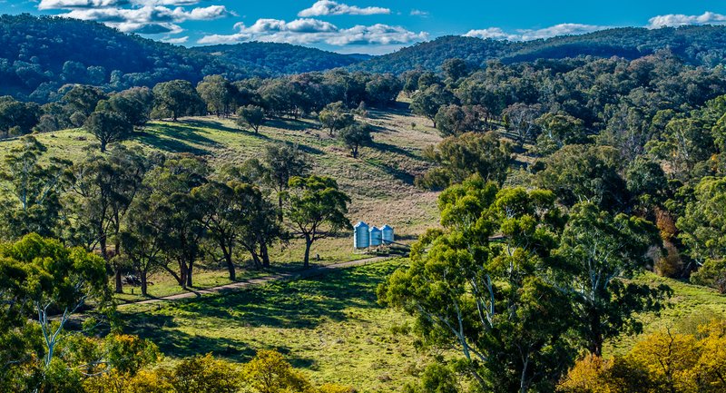 Photo - 'The Grove' 635 Grove Creek Road, Trunkey Creek NSW 2795 - Image 7