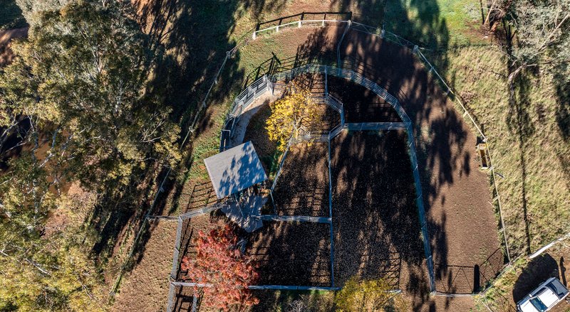 Photo - 'The Grove' 635 Grove Creek Road, Trunkey Creek NSW 2795 - Image 8