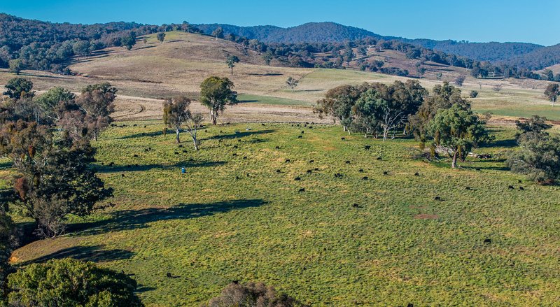 Photo - 'The Grove' 635 Grove Creek Road, Trunkey Creek NSW 2795 - Image 12