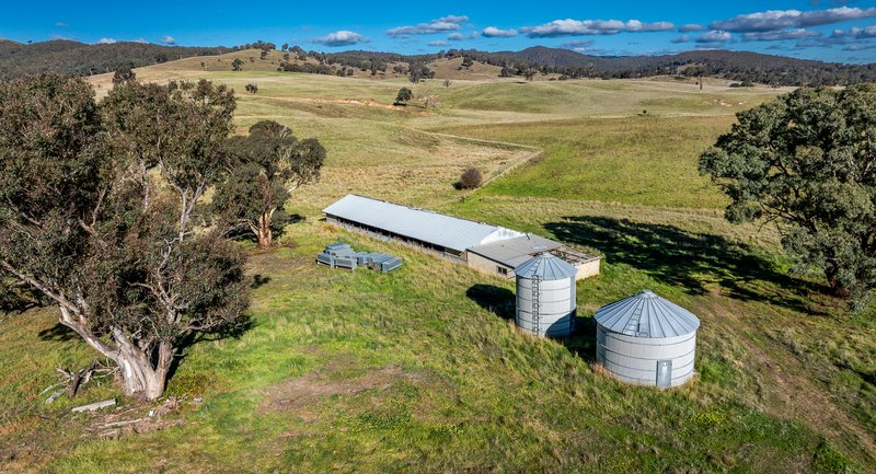 Photo - 'The Grove' 635 Grove Creek Road, Trunkey Creek NSW 2795 - Image 13