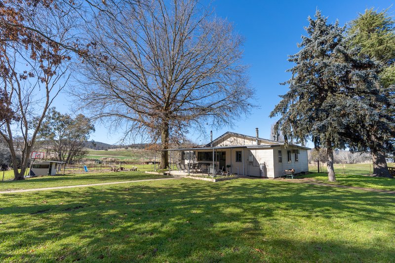 Photo - 'The Grove' 635 Grove Creek Road, Trunkey Creek NSW 2795 - Image 15