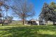 Photo - 'The Grove' 635 Grove Creek Road, Trunkey Creek NSW 2795 - Image 15