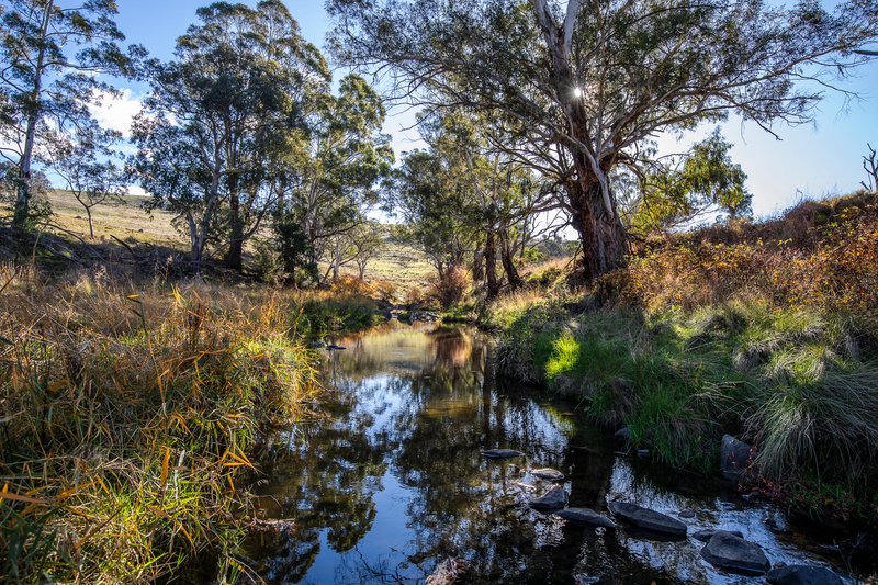 Photo - 'The Grove' 635 Grove Creek Road, Trunkey Creek NSW 2795 - Image 18