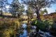 Photo - 'The Grove' 635 Grove Creek Road, Trunkey Creek NSW 2795 - Image 18