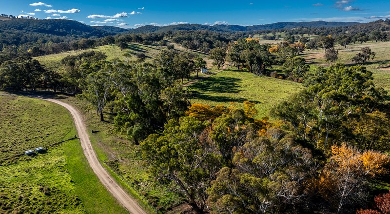 Photo - 'The Grove' 635 Grove Creek Road, Trunkey Creek NSW 2795 - Image 20
