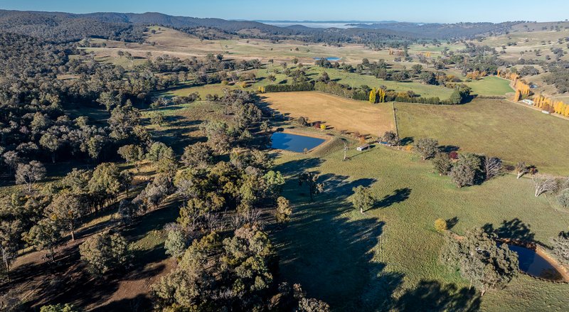 Photo - 'The Grove' 635 Grove Creek Road, Trunkey Creek NSW 2795 - Image 21