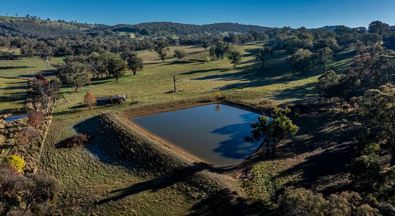 Photo - 'The Grove' 635 Grove Creek Road, Trunkey Creek NSW 2795 - Image 22