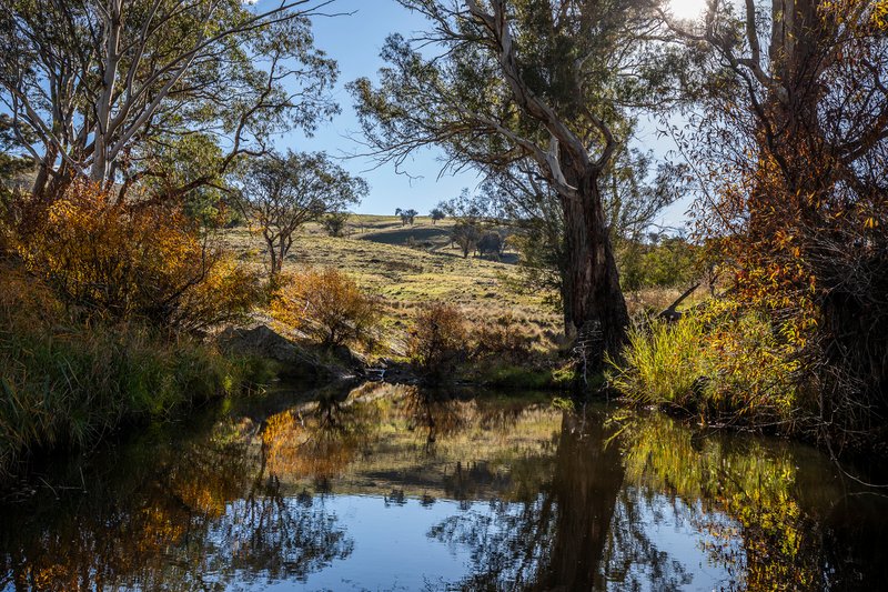 Photo - 'The Grove' 635 Grove Creek Road, Trunkey Creek NSW 2795 - Image 23