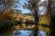 Photo - 'The Grove' 635 Grove Creek Road, Trunkey Creek NSW 2795 - Image 23