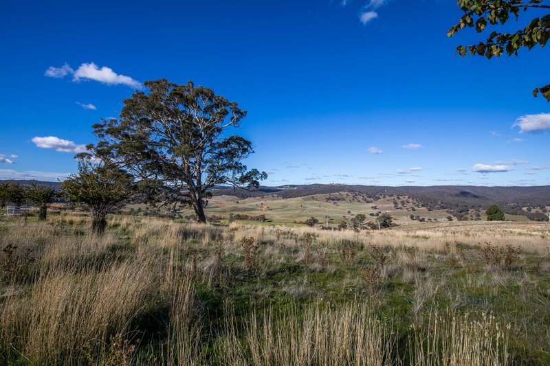 Photo - 'The Grove' 635 Grove Creek Road, Trunkey Creek NSW 2795 - Image 26