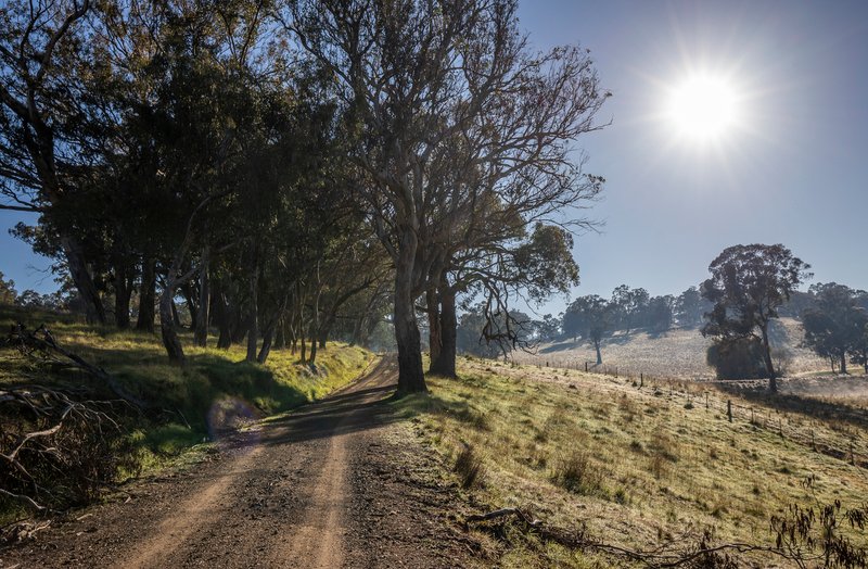 Photo - 'The Grove' 635 Grove Creek Road, Trunkey Creek NSW 2795 - Image 28