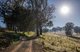 Photo - 'The Grove' 635 Grove Creek Road, Trunkey Creek NSW 2795 - Image 28