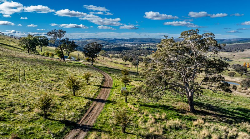 Photo - 'The Grove' 635 Grove Creek Road, Trunkey Creek NSW 2795 - Image 30