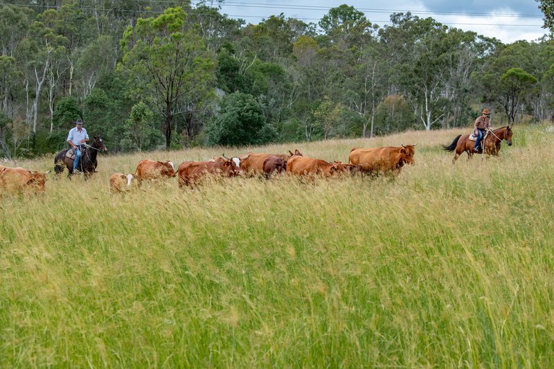 Photo - 'The Pinch' 55 Emerson Road, Taromeo QLD 4314 - Image 22