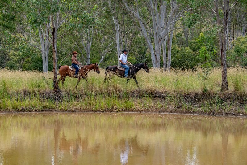 Photo - 'The Pinch' 55 Emerson Road, Taromeo QLD 4314 - Image 23