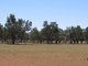 Photo - "The Pines" 75 Lang Road, Sunnybrae SA 5422 - Image 5