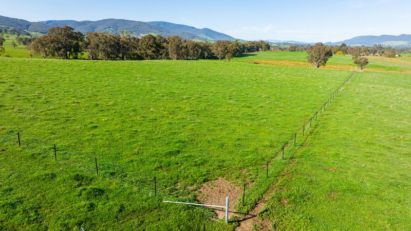 Photo - 'The Point' Craven Road, Allans Flat VIC 3691 - Image 11