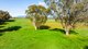 Photo - 'The Point' Craven Road, Allans Flat VIC 3691 - Image 13