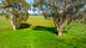 Photo - 'The Point' Craven Road, Allans Flat VIC 3691 - Image 14