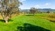 Photo - 'The Point' Craven Road, Allans Flat VIC 3691 - Image 15