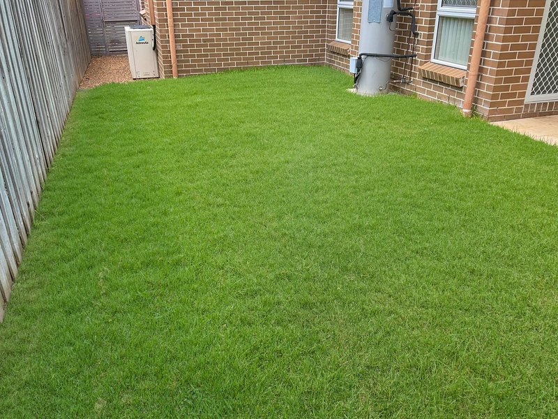 Photo - The Ponds NSW 2769 - Image 9