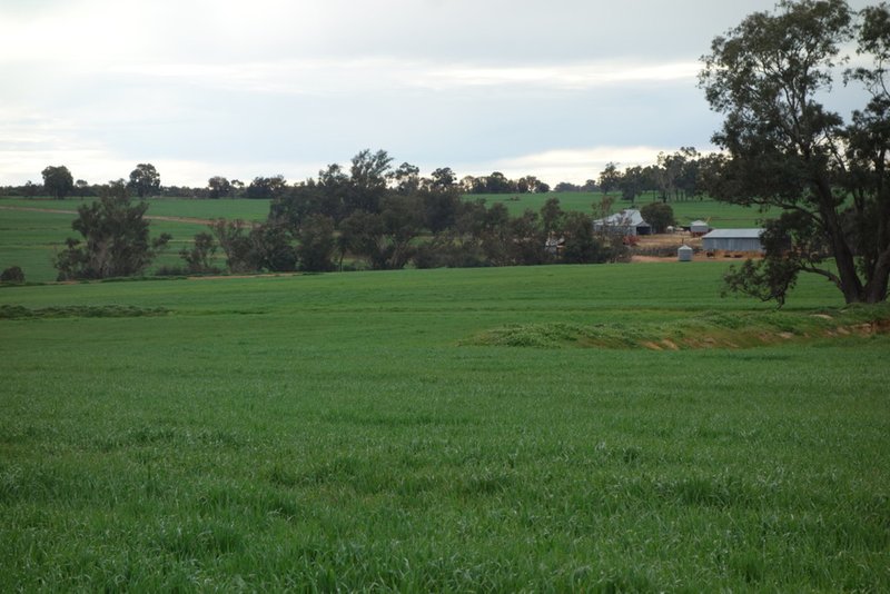 Photo - The Springs 170 Groves Road, Dumberning WA 6312 - Image 1