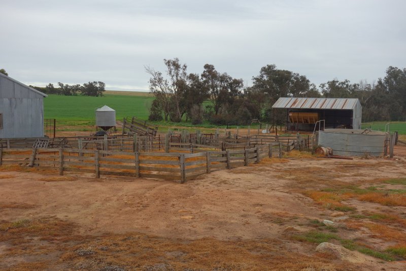 Photo - The Springs 170 Groves Road, Dumberning WA 6312 - Image 3
