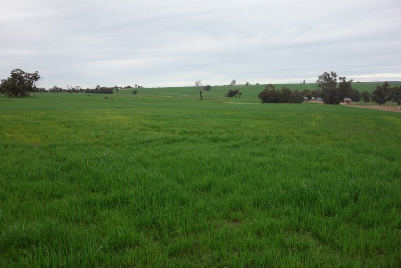 Photo - The Springs 170 Groves Road, Dumberning WA 6312 - Image 9