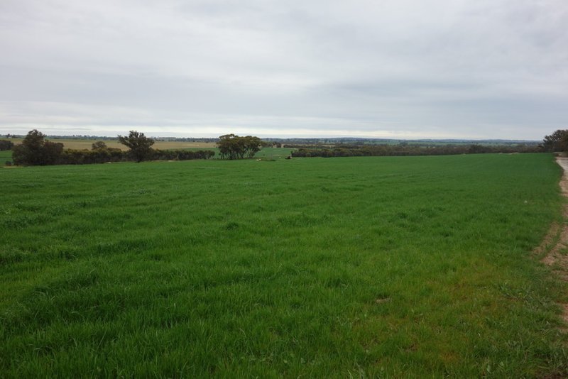 Photo - The Springs 170 Groves Road, Dumberning WA 6312 - Image 10