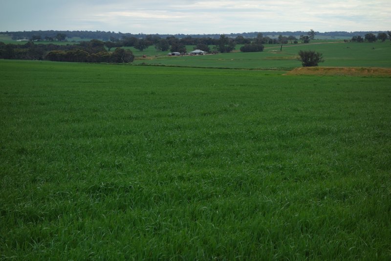 Photo - The Springs 170 Groves Road, Dumberning WA 6312 - Image 11