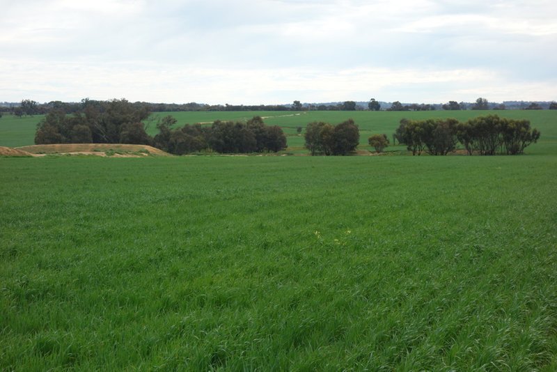 Photo - The Springs 170 Groves Road, Dumberning WA 6312 - Image 12