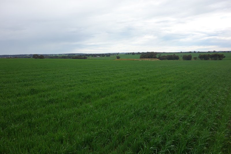 Photo - The Springs 170 Groves Road, Dumberning WA 6312 - Image 13