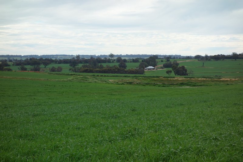 Photo - The Springs 170 Groves Road, Dumberning WA 6312 - Image 18