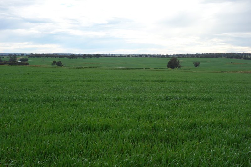 Photo - The Springs 170 Groves Road, Dumberning WA 6312 - Image 19