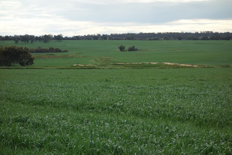 Photo - The Springs 170 Groves Road, Dumberning WA 6312 - Image 22