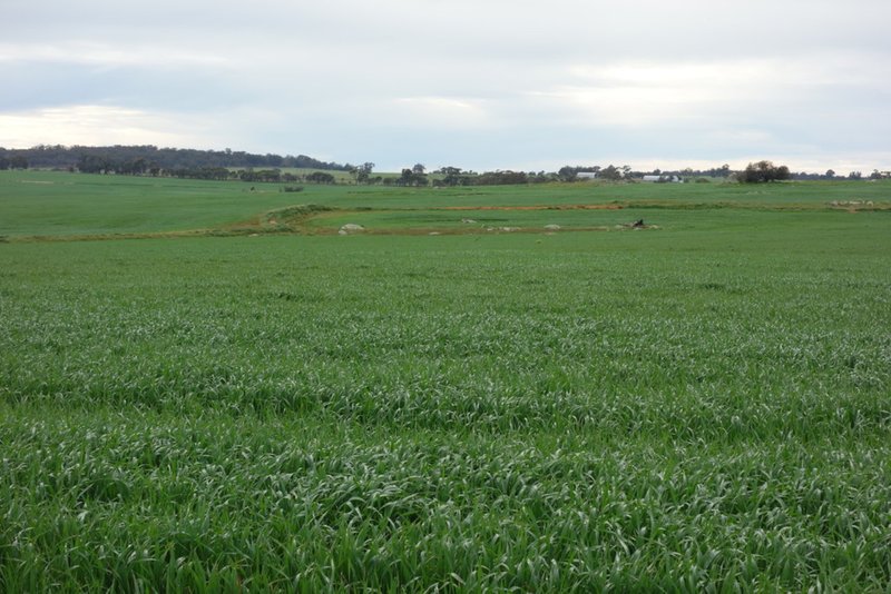 Photo - The Springs 170 Groves Road, Dumberning WA 6312 - Image 23