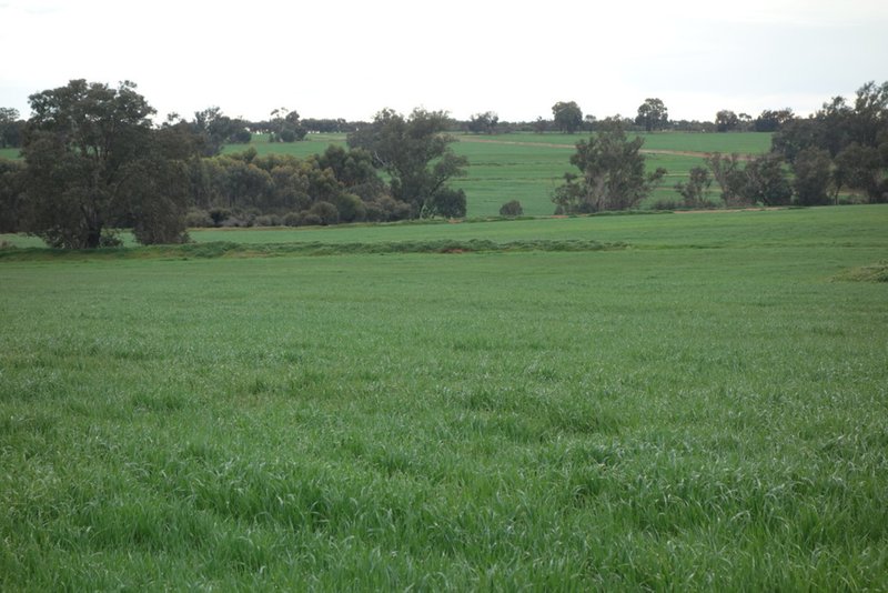 Photo - The Springs 170 Groves Road, Dumberning WA 6312 - Image 25